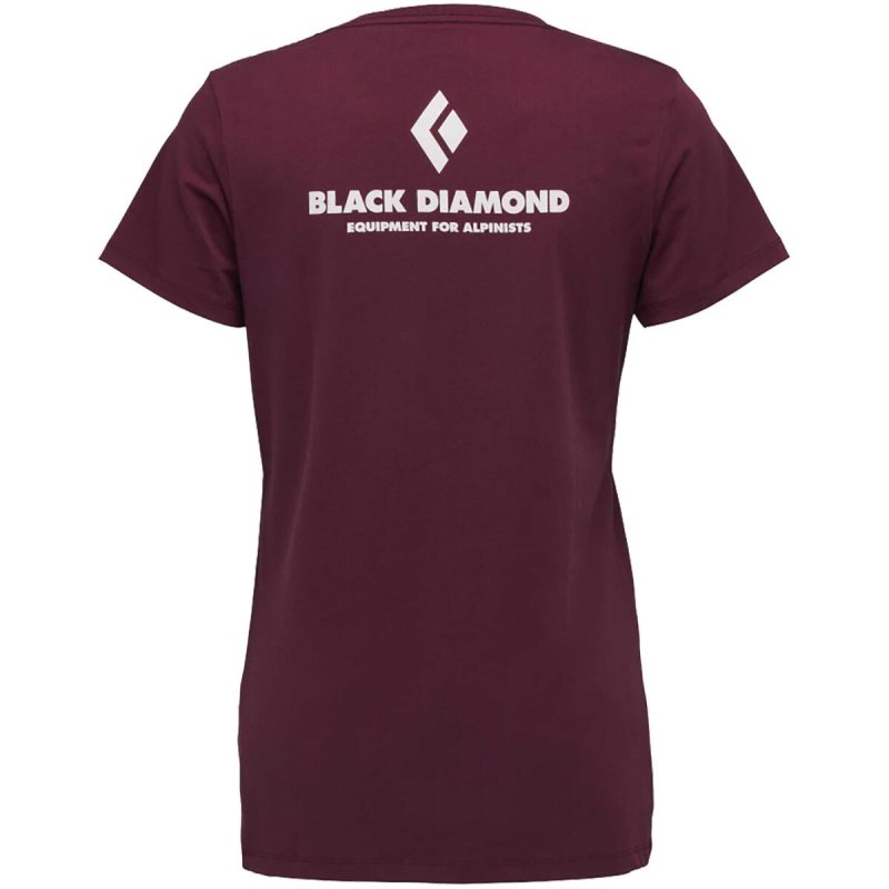 画像1: Black Diamond Women's Equipment for Alpinists Tee ブラックダイヤモンドアルピニスト  TEE 女性用 Ｔシャツ (1)