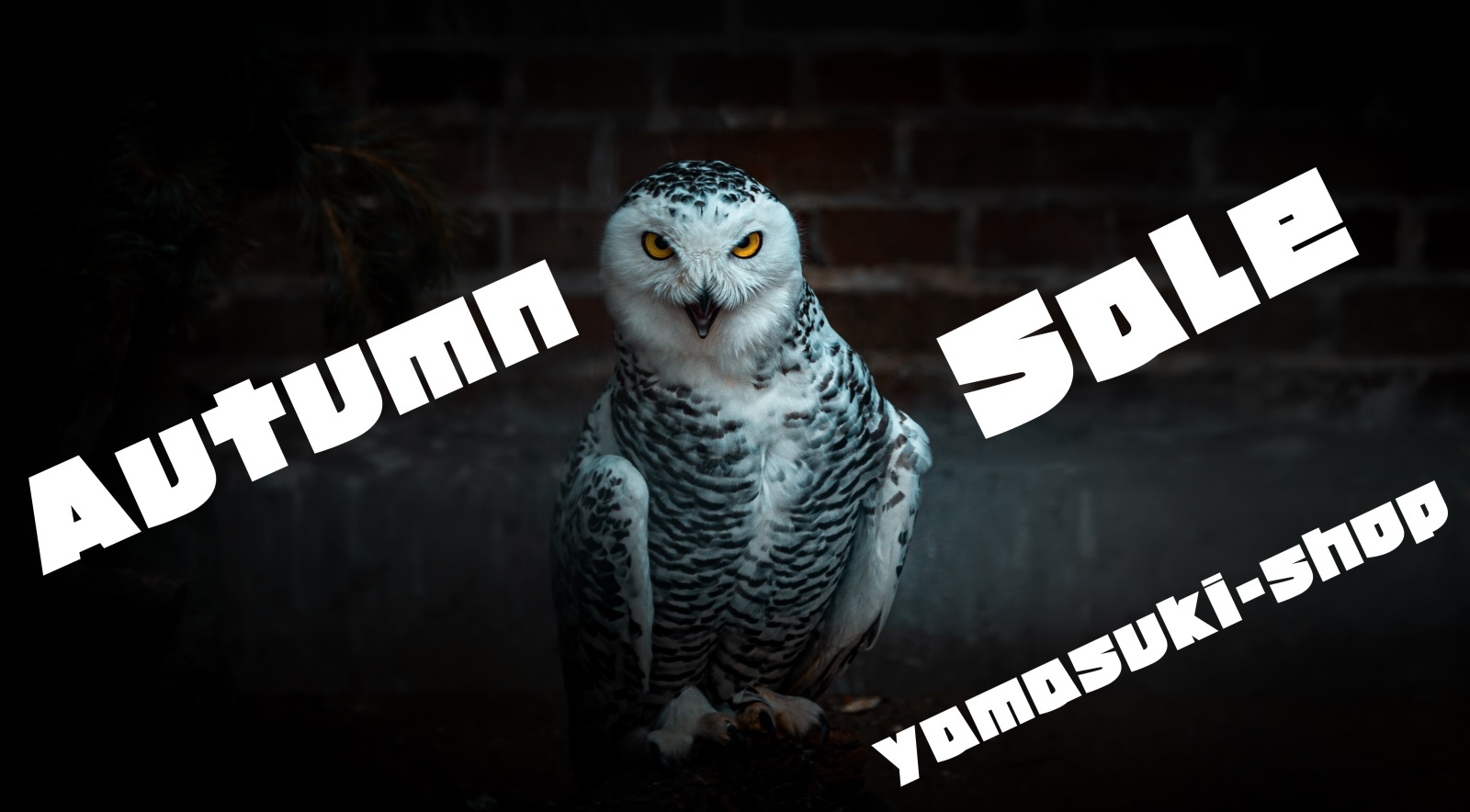 Autumn Big Sale 2026開催！